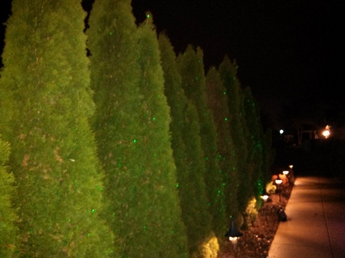 Outdoor Lighted Features
